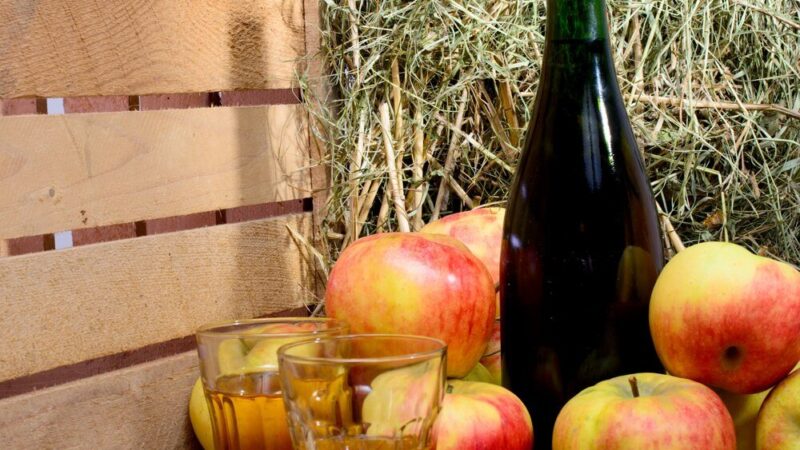 Jak zrobić wino z jabłek? Sprawdzone przepisy na wino z jabłek bez wyciskania soku
