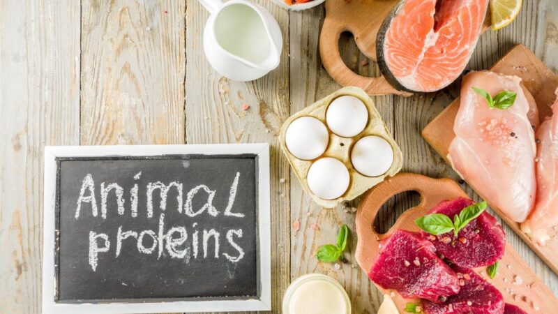 Dieta białkowa: jadłospis na 14 dni pełen smacznych przepisów
