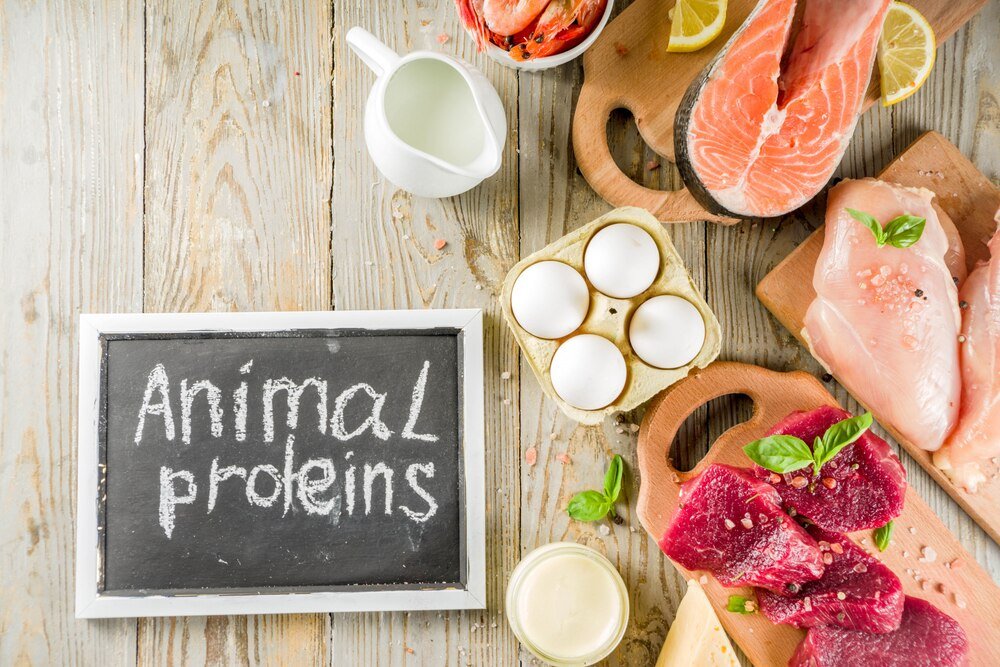 Dieta białkowa: jadłospis na 14 dni pełen smacznych przepisów