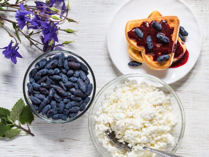 Jagoda kamczacka: przepisy na soki i inne przetwory