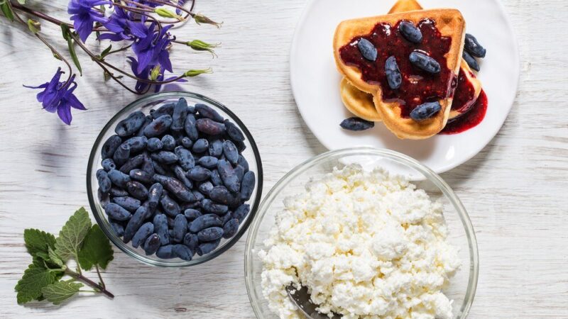 Jagoda kamczacka: przepisy na soki i inne przetwory