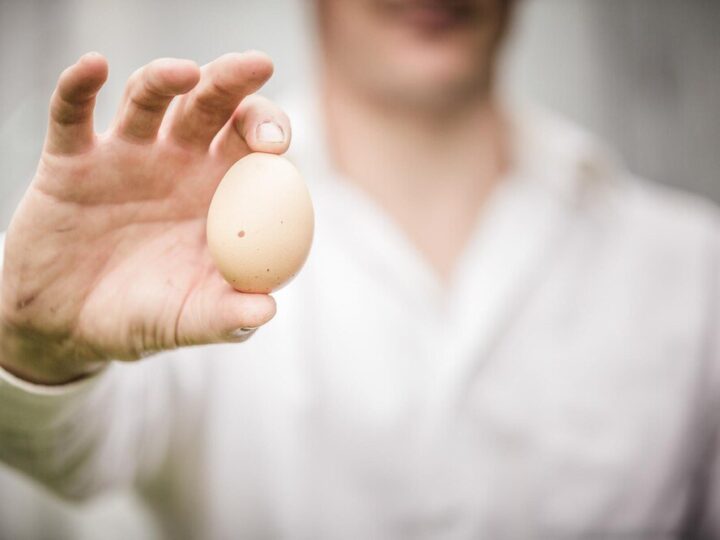 Jak rozpoznać czy jajko jest zepsute?