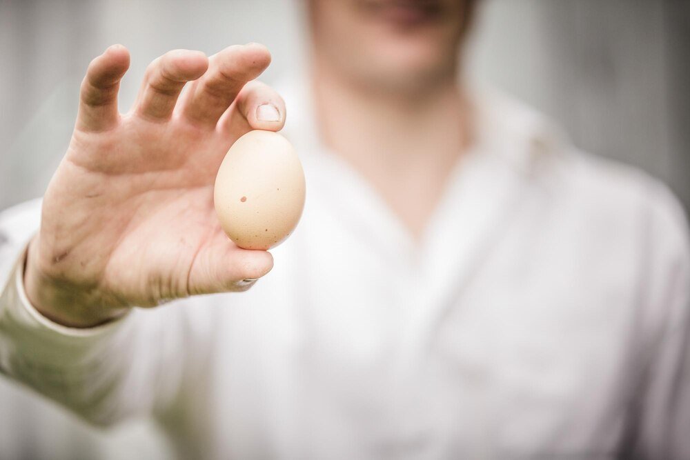 Jak rozpoznać czy jajko jest zepsute?