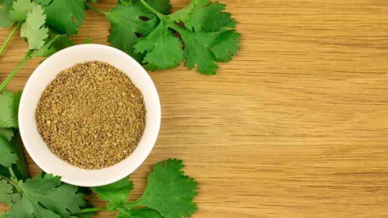 Kolendra mielona – jak jej używać?