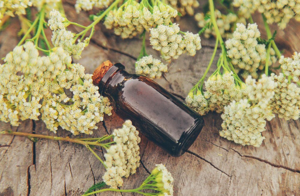 Nalewka z kwiatów czarnego bzu – przepis krok po kroku