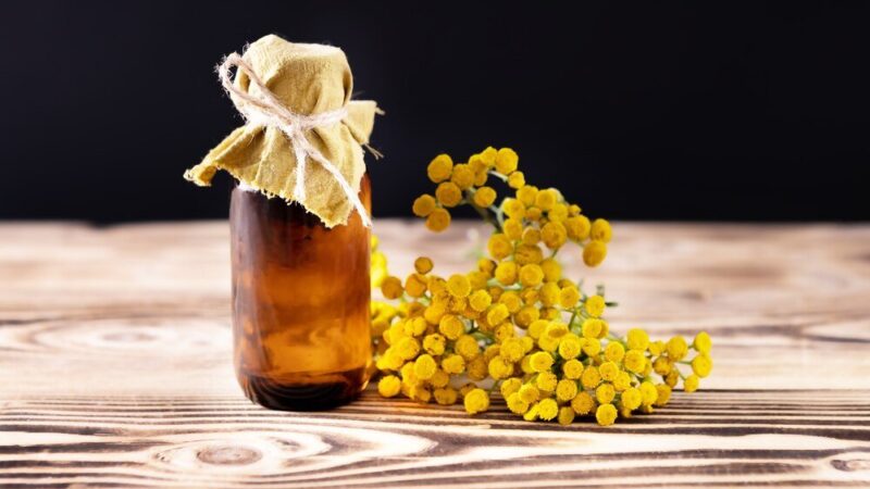 Nalewka z propolisu – przepis krok po kroku i proporcje