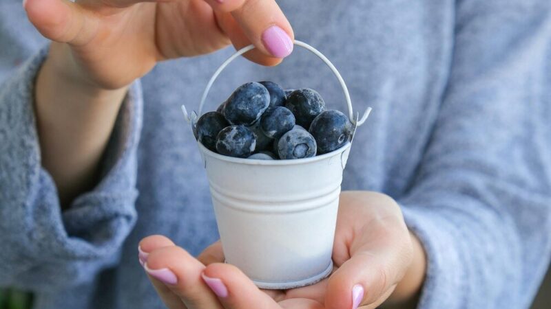 Jak mrozić borówkę – krok po kroku