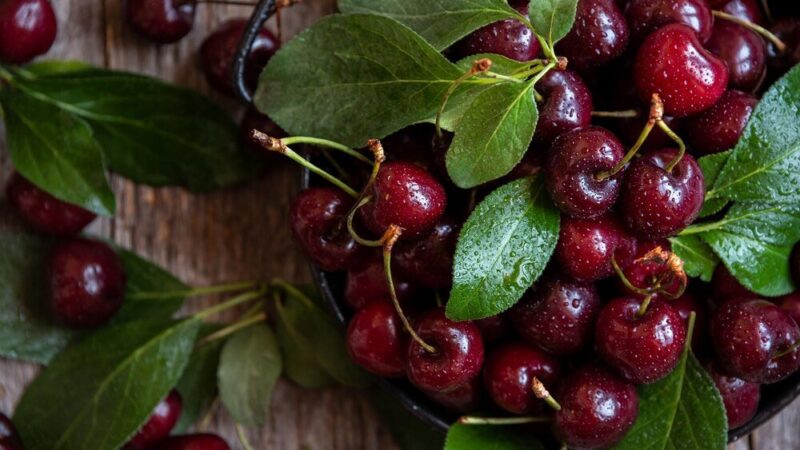 Kiedy jest sezon na wiśnie – jak wybierać najlepsze owoce