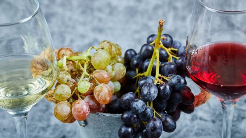 Jak zacząć świadomie degustować wino?